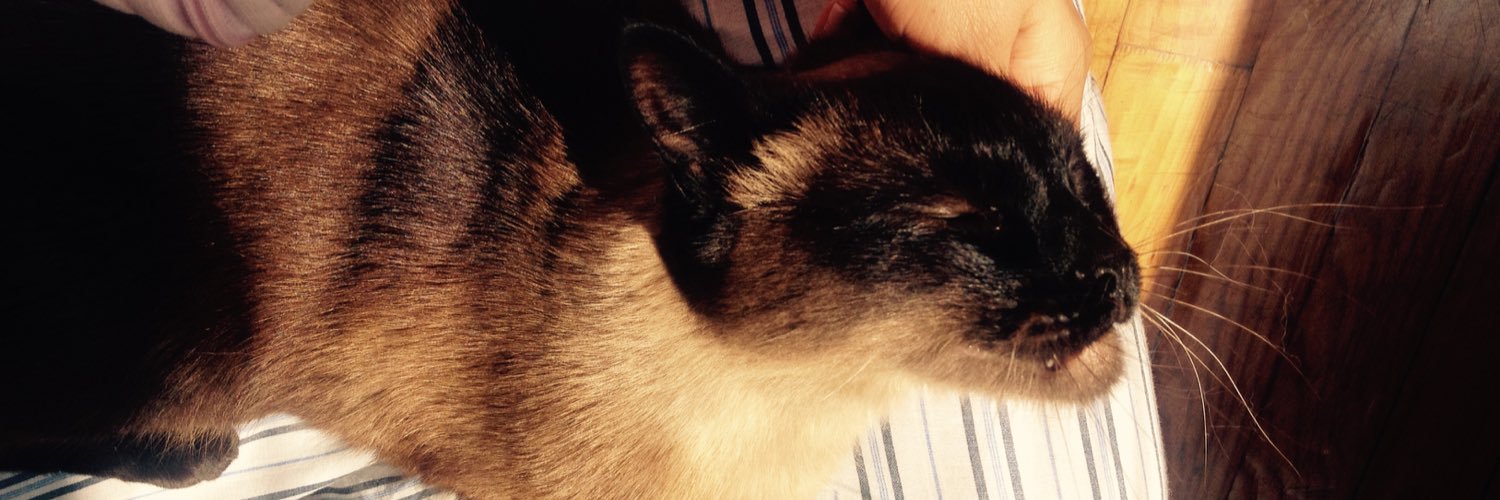 GatoAvil's profile banner image