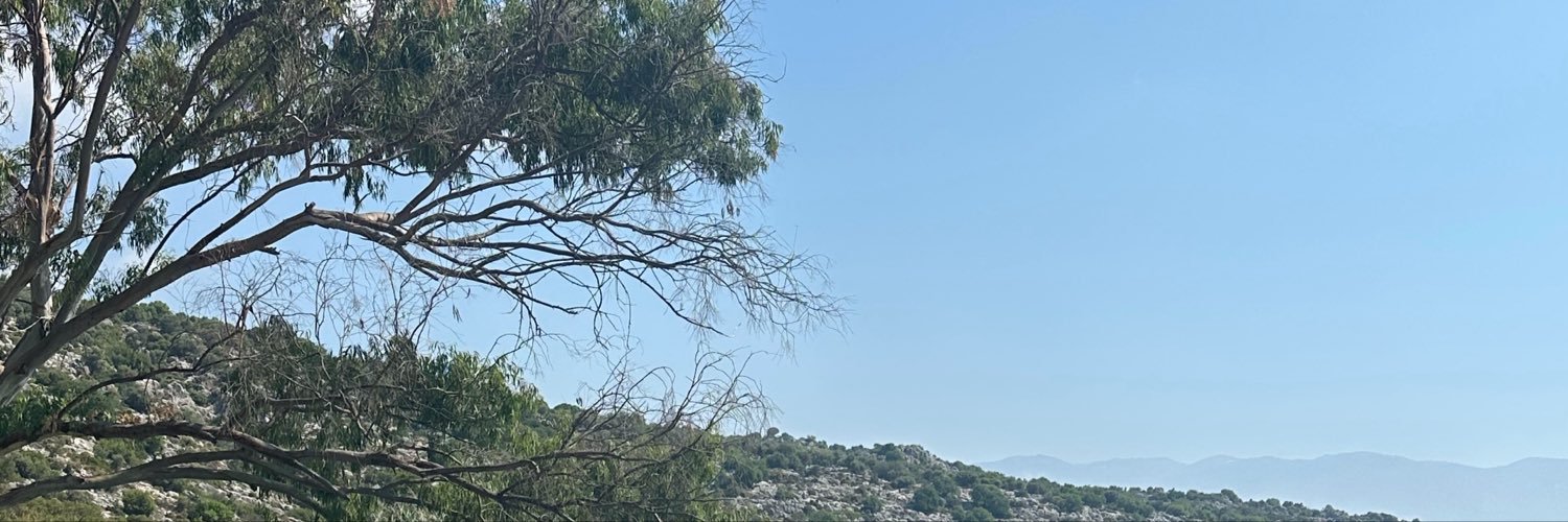 dmlblc's profile banner image
