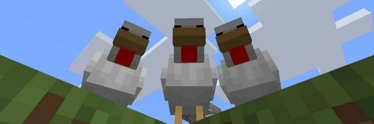 soybean_pod's profile banner image