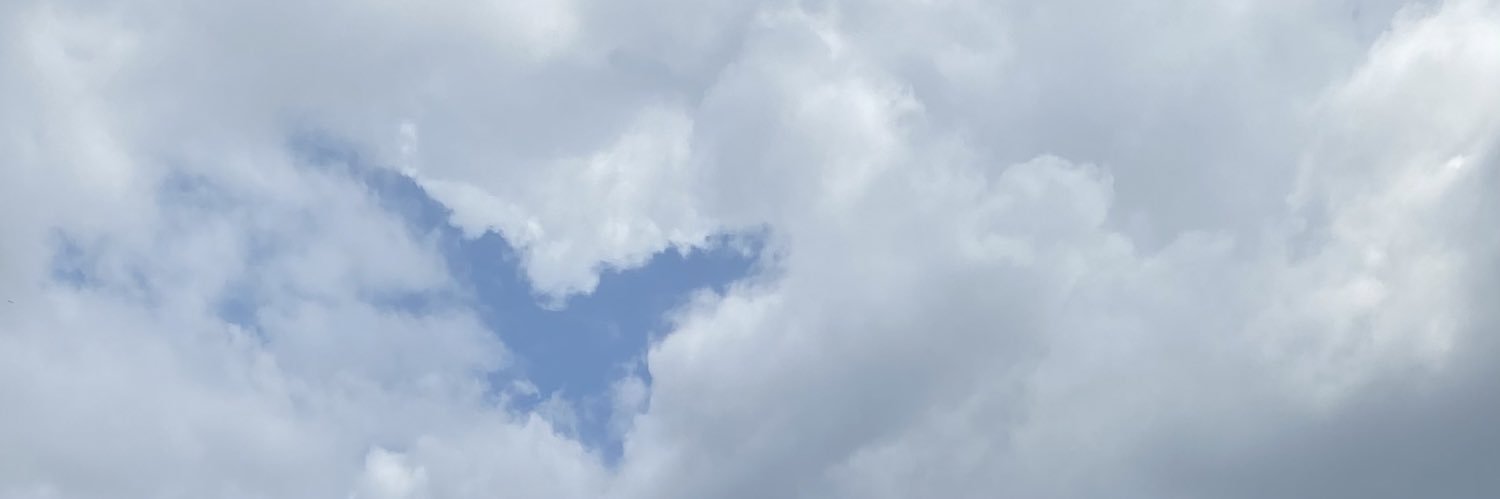 lu10k_'s profile banner image