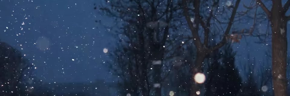 bingxunian19's profile banner image