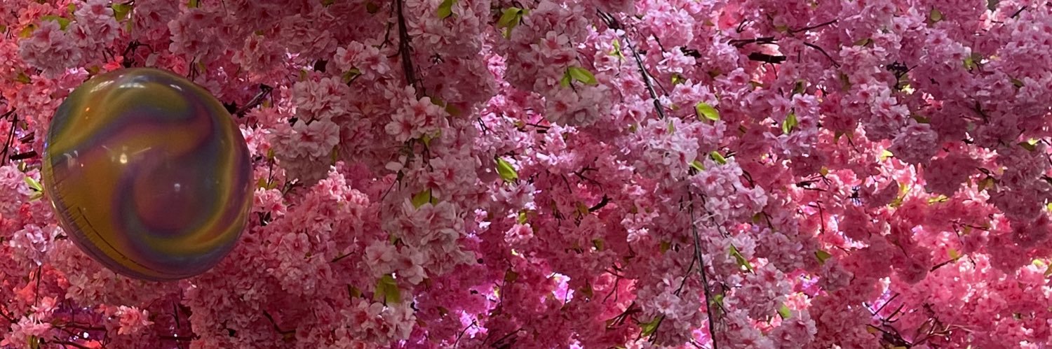 xilsaani's profile banner image