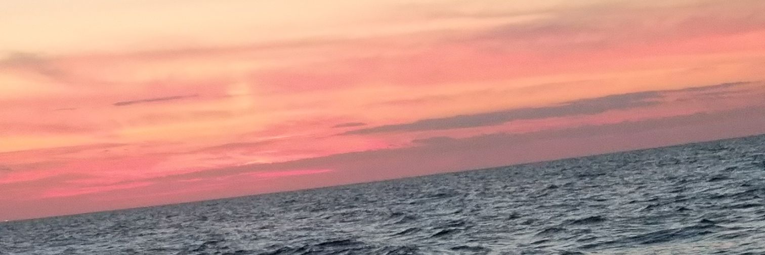 michellelp823's profile banner image