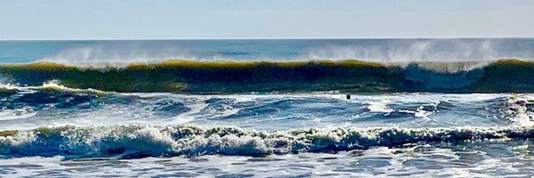 BTXFolly Profile Banner
