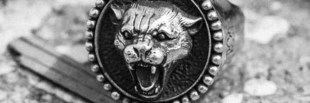 kokkok427's profile banner image
