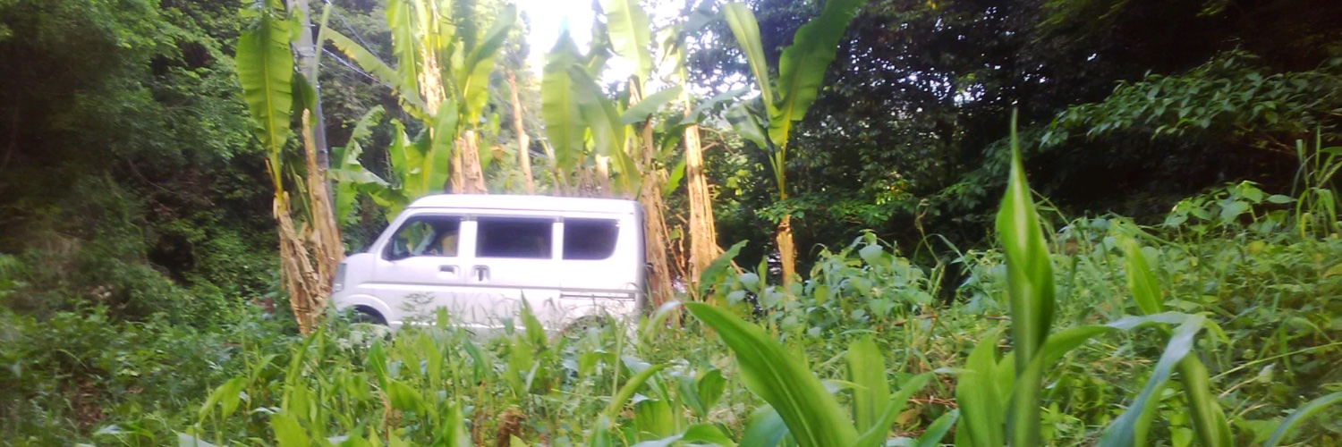 キノト（四然派） banner