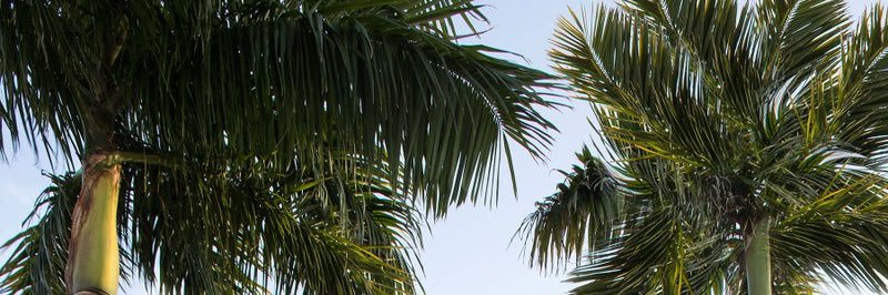 سلطان 🇸🇦 banner