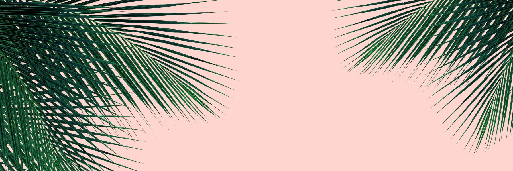 MegMcQuaide's profile banner image