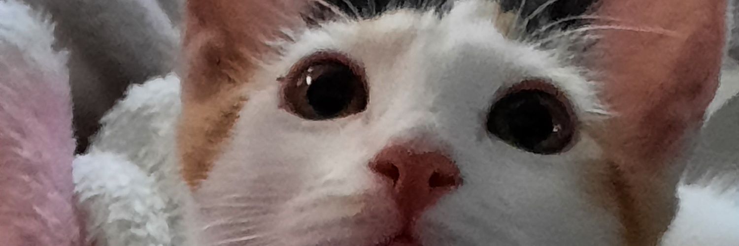 Gabyfontes3's profile banner image