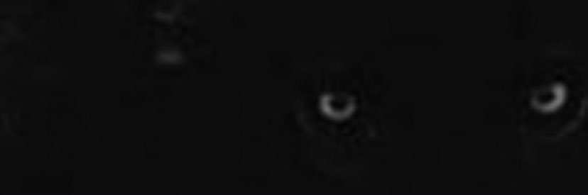 rakimdean32's profile banner image