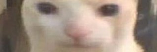 Swifceize's profile banner image