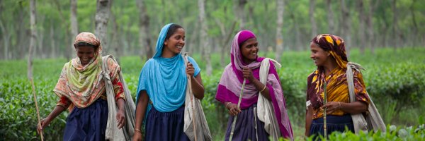 Teatulia Profile Banner