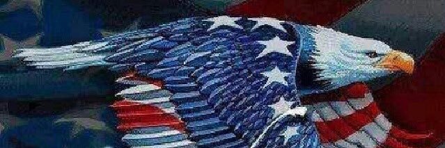 TheGart 🇺🇸 banner