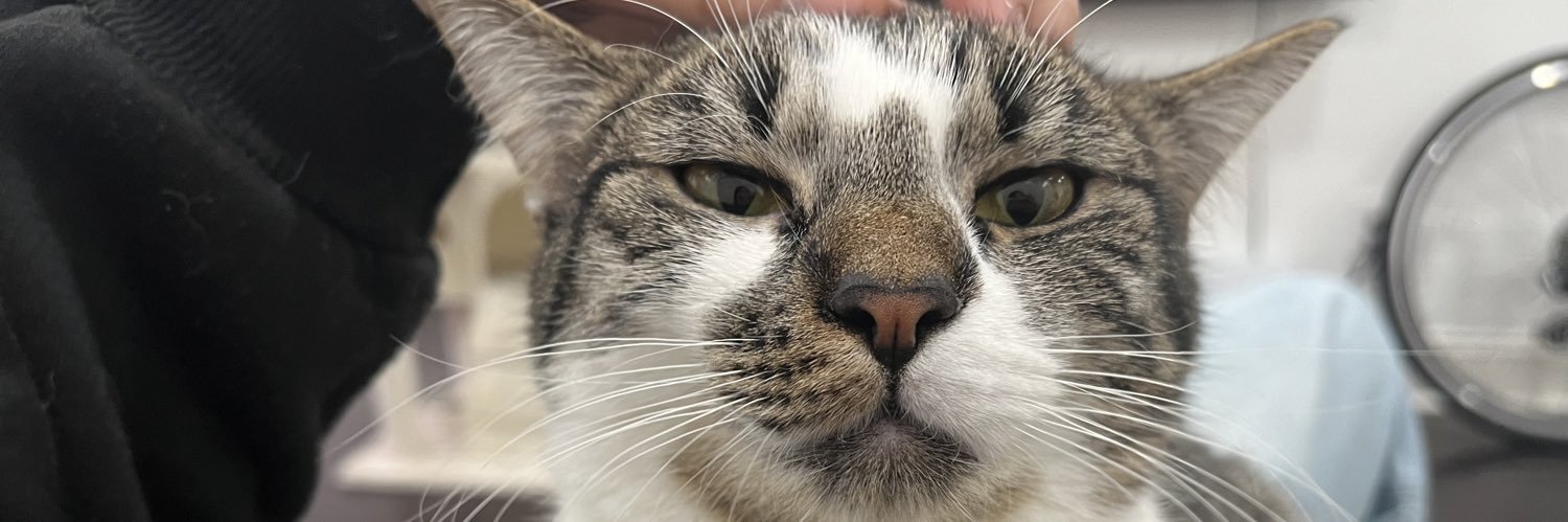 markathewitch's profile banner image