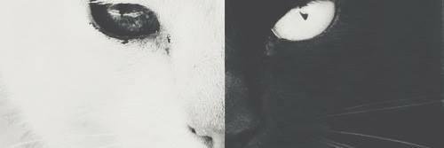 MelyEcheire's profile banner image
