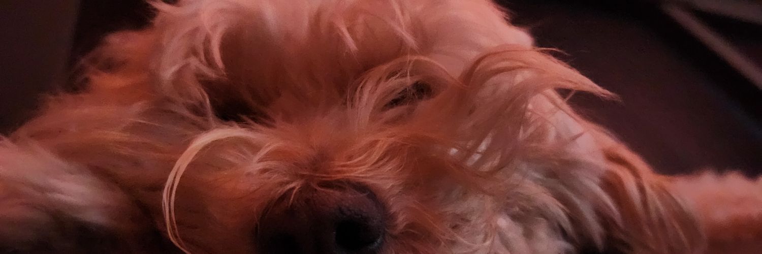 Picklez🩸🔨 banner