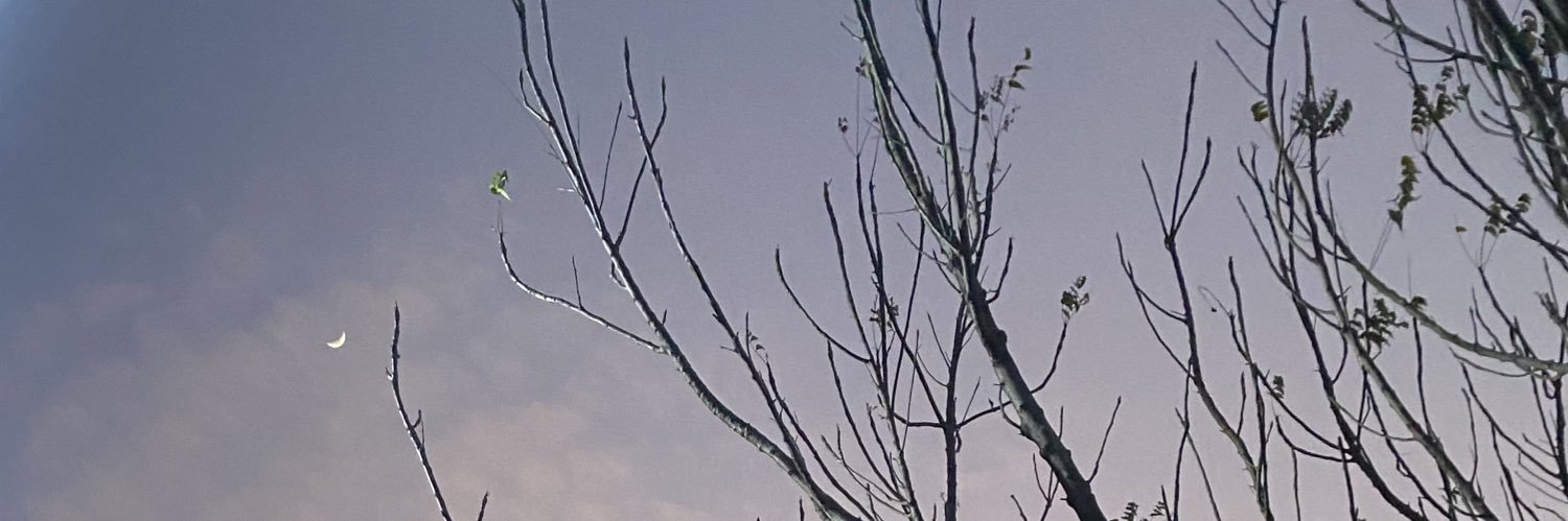 _dayaa_1's profile banner image