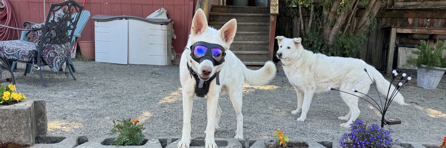 Donnie Dangerously banner