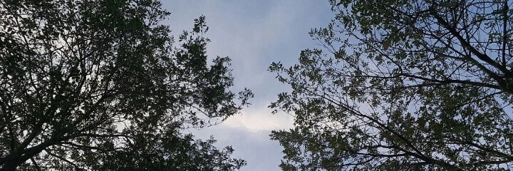 jooh_carp's profile banner image