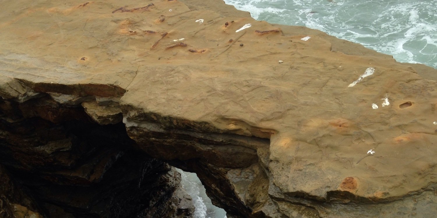 Jenifer Smith banner