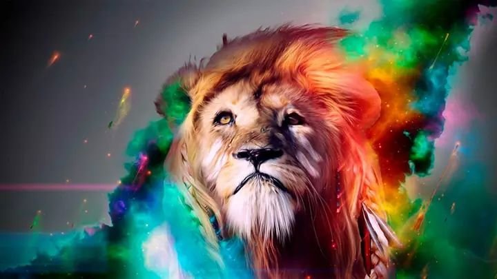 dantedjmexdf's profile banner image