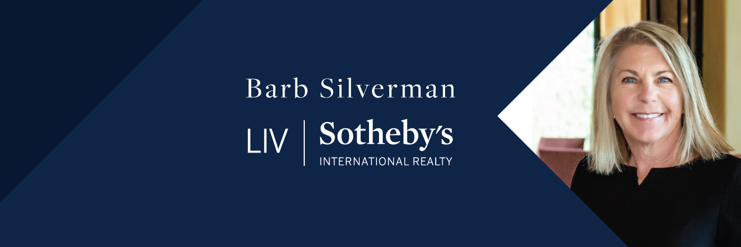 BarbSilverman's profile banner image