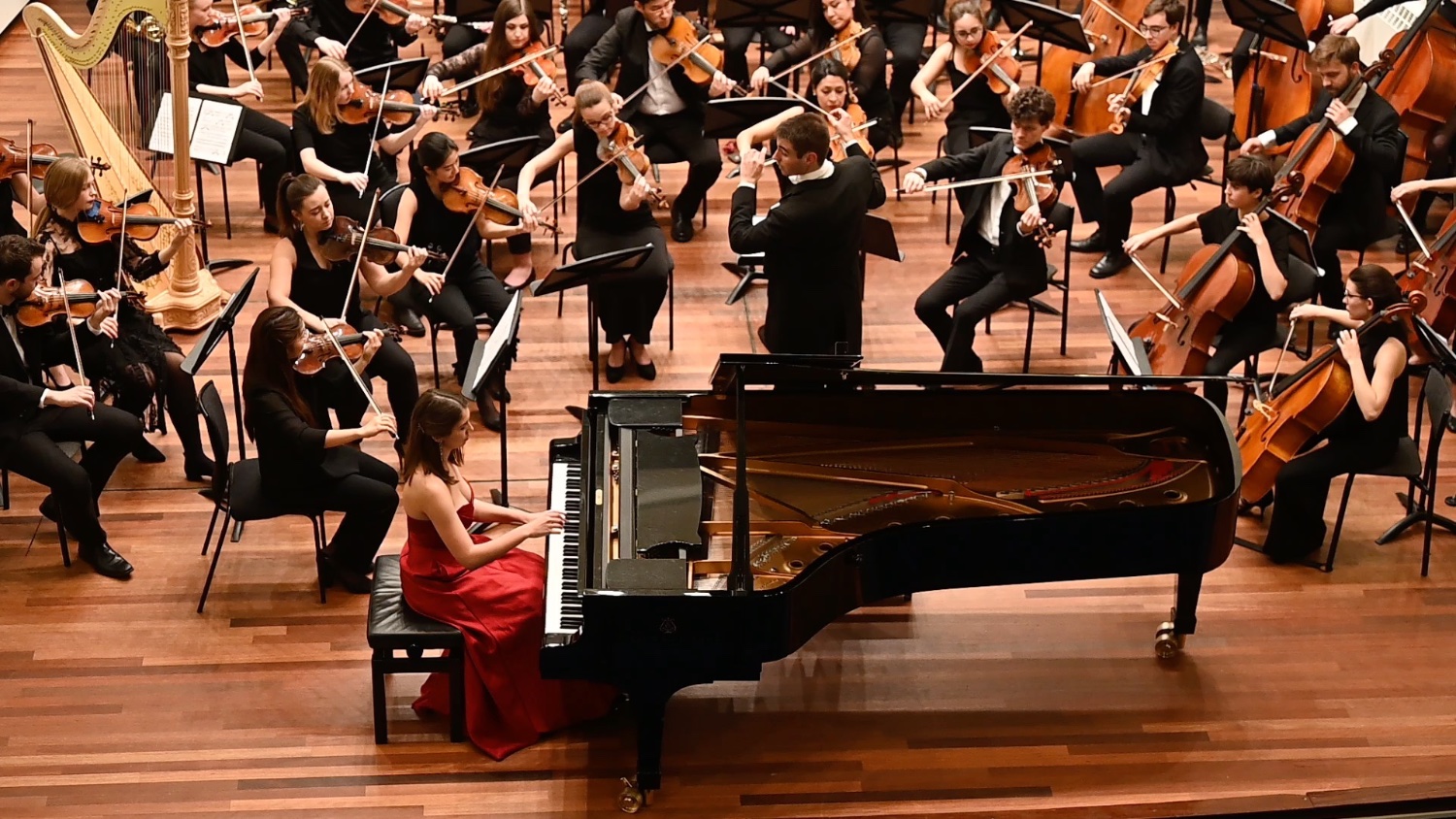 Anna Michels banner