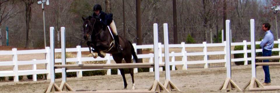 madelyn_malone's profile banner image