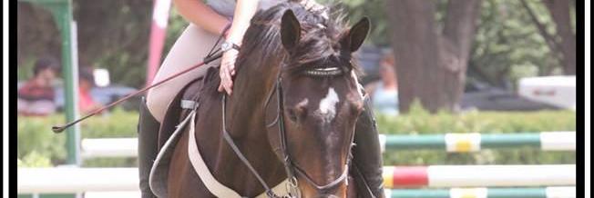 FlorenciaIBok's profile banner image