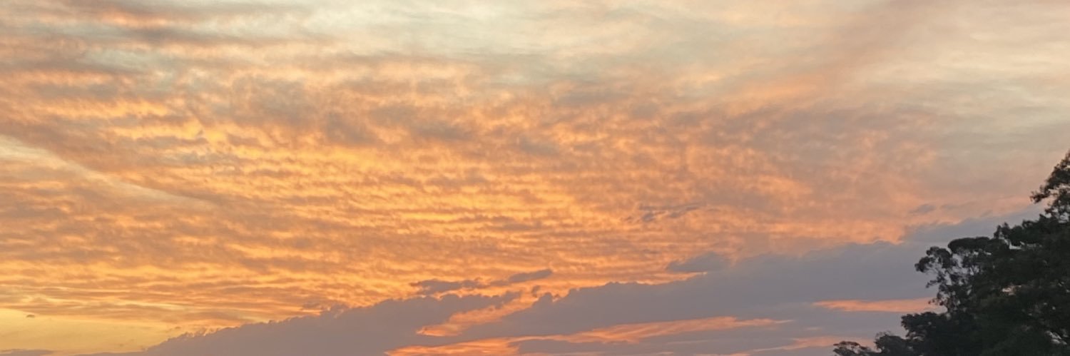 ConstiLibardi's profile banner image