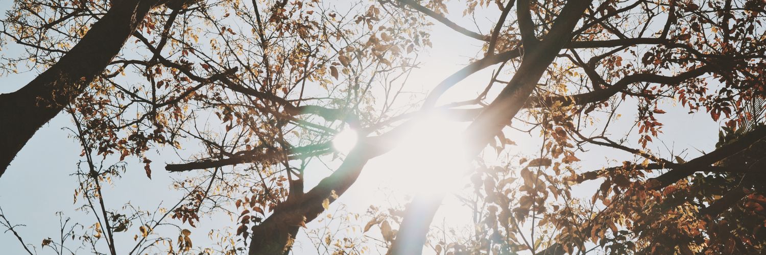 vebby05's profile banner image