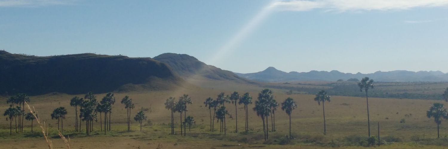 carolechevarria's profile banner image