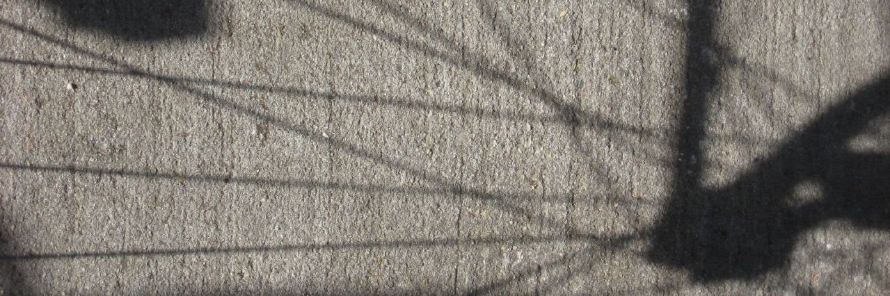 Joan E. Solsman banner