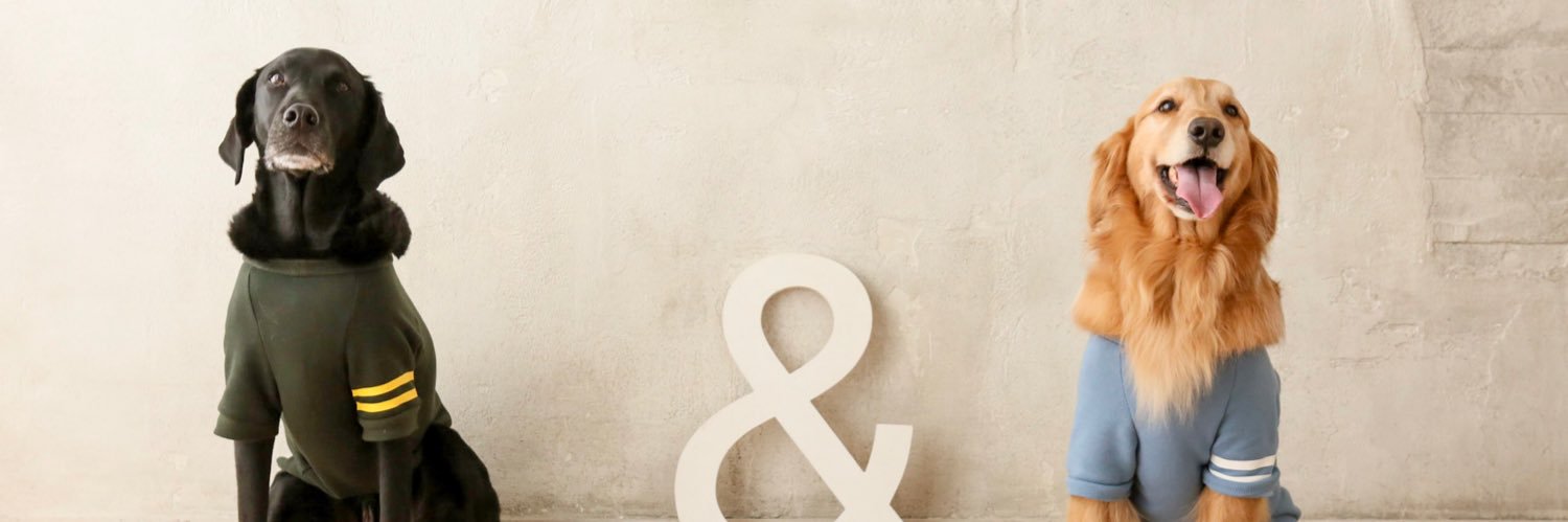 kumi0903's profile banner image