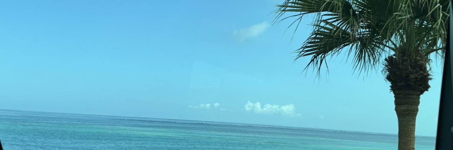 yuseik0619's profile banner image