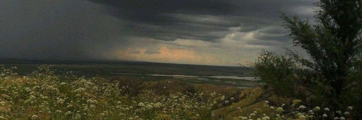 💫vic!!🪽 ('s good omens account) | 13TH MAY!!! banner