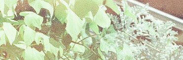 thekidcal_'s profile banner image
