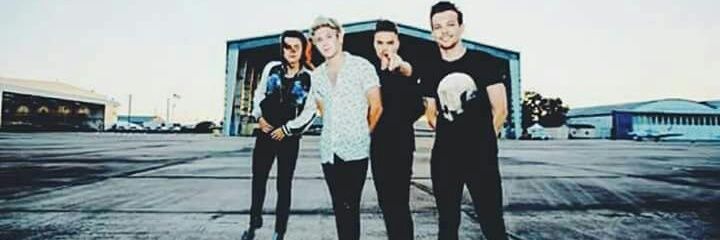 gabyru_1D's profile banner image