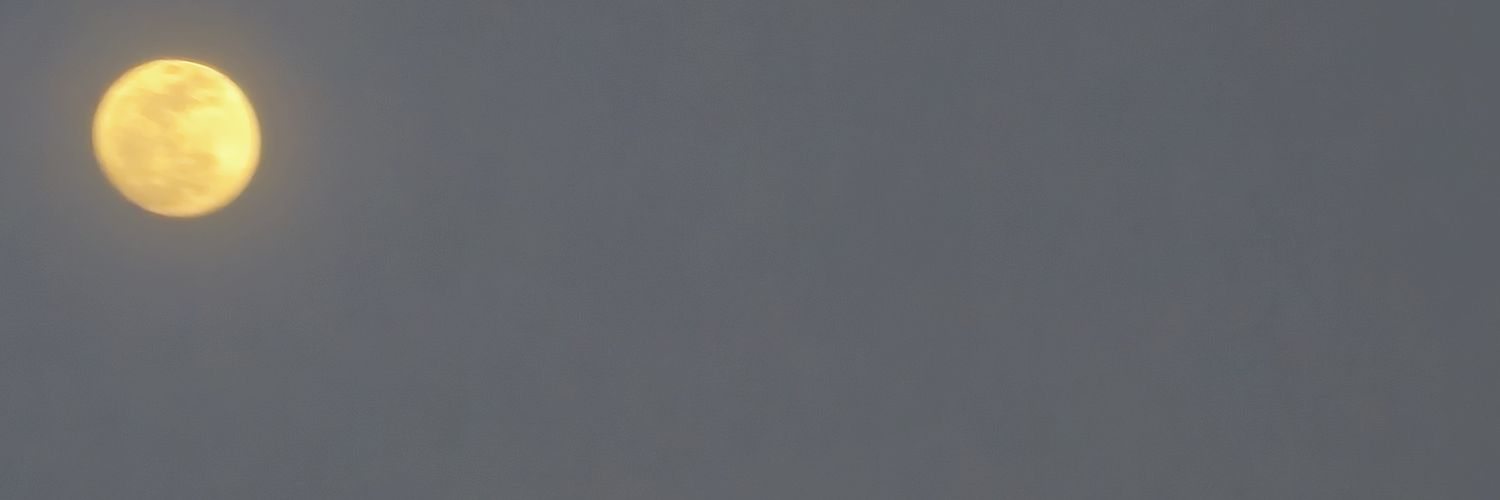 AnkhBalam's profile banner image