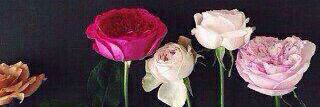 nadosh829's profile banner image