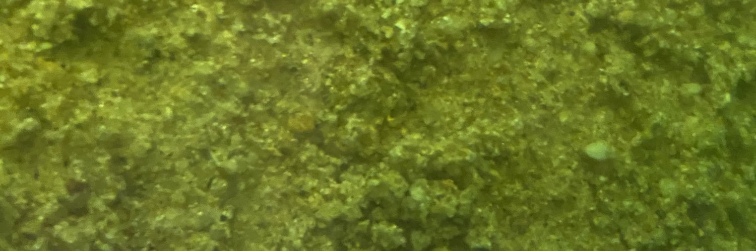 smeeee banner