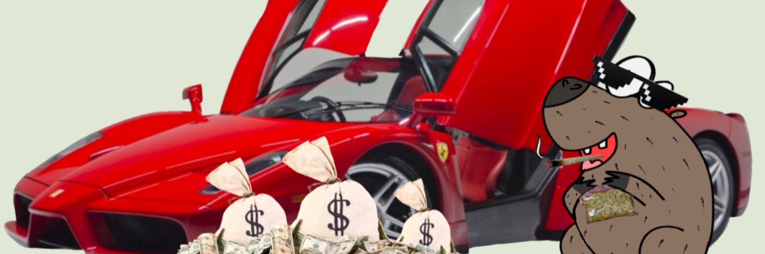 Thekittybeagle banner