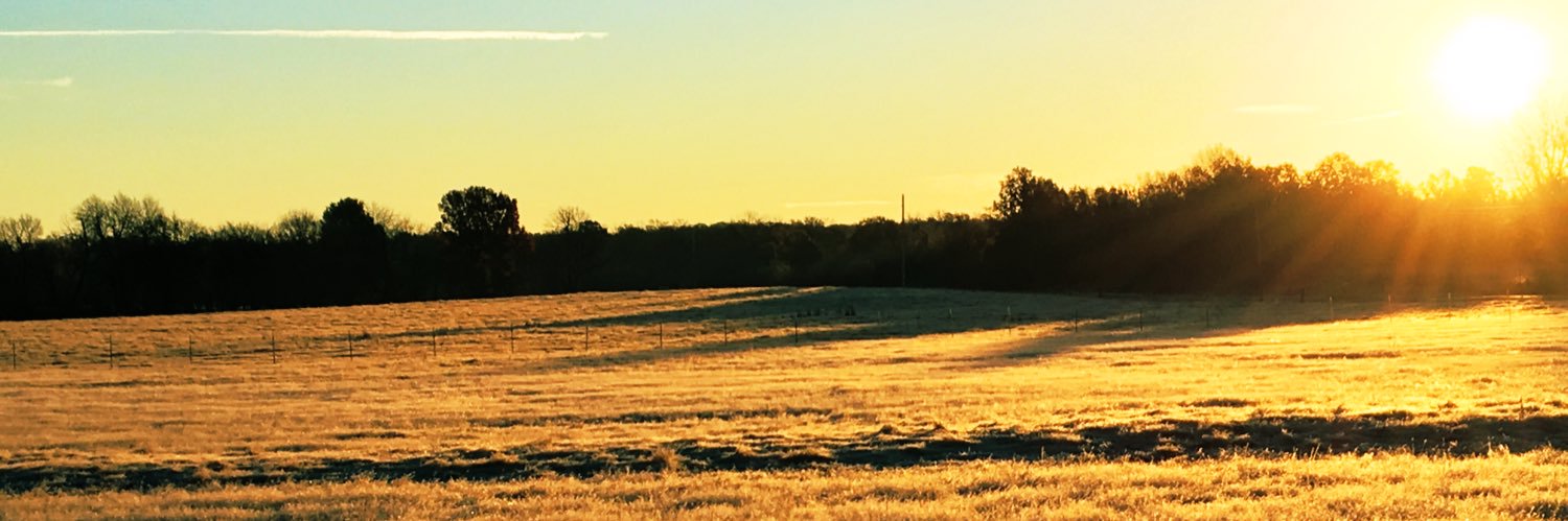 MathesonAaron's profile banner image