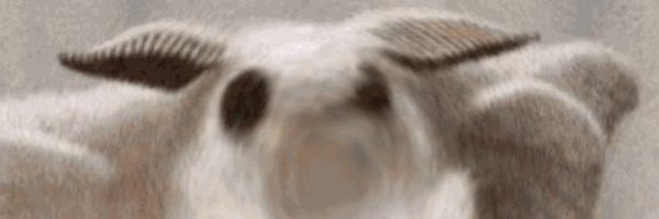 valderrion Profile Banner