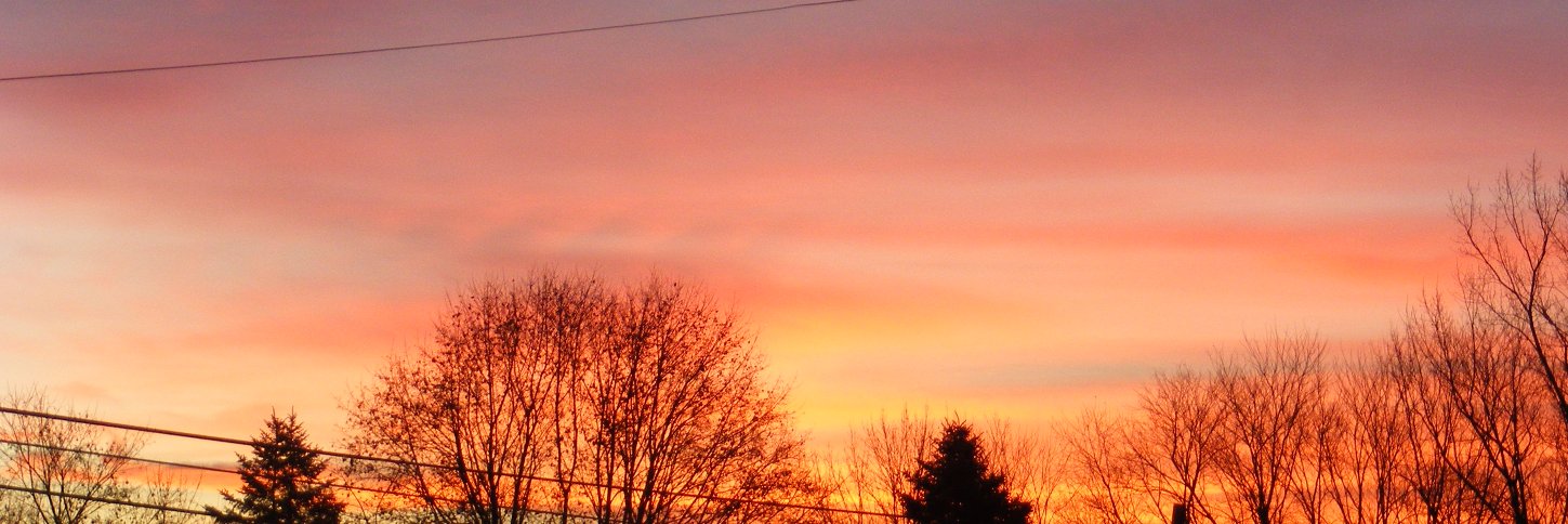 AlbertBHammond's profile banner image