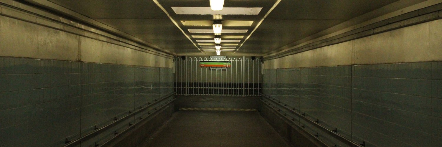 Ashley 🏳️‍⚧️ banner