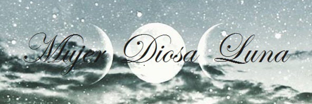 mara1_yoly's profile banner image