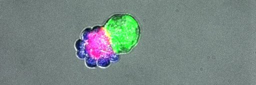 Satoshi Toda/戸田 聡 banner