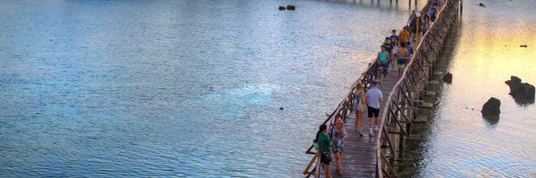 michaela14n Profile Banner