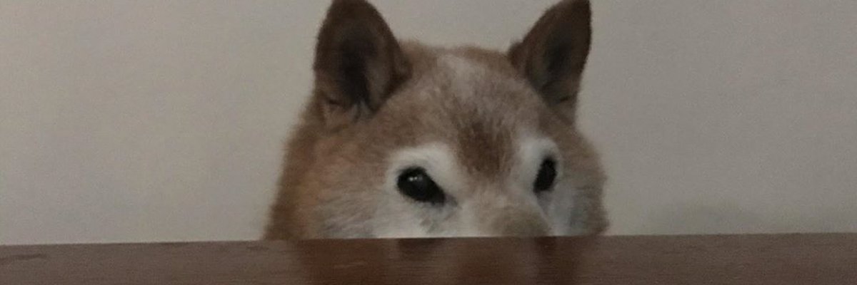 Jpeg Stacker banner